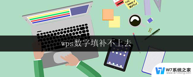 wps数字填补不上去 wps数字填补不上去怎么办