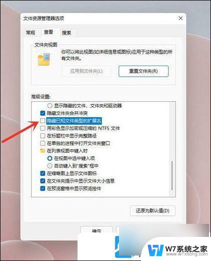 win11系统显示文件后缀 Win11文件扩展名显示设置方法