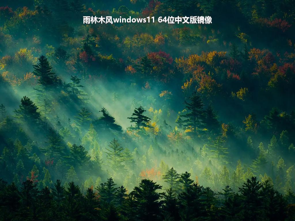 雨林木风windows11 64位中文版镜像